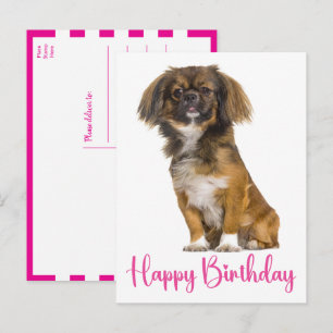 Carte Postale Joyeux Anniversaire Chiot Pékinés Mignon Anniv