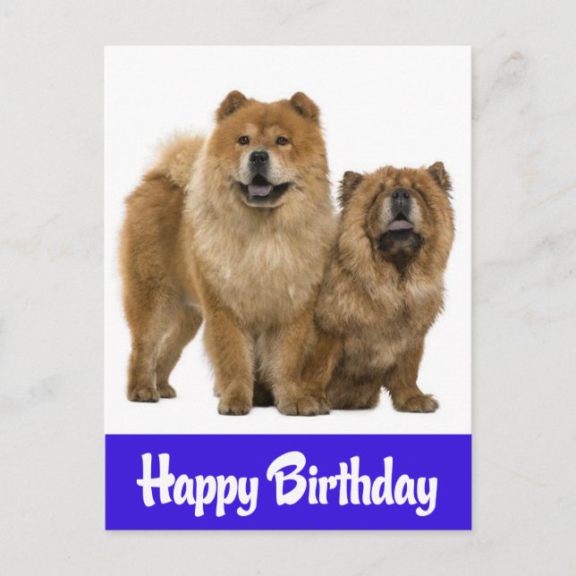 Carte postale Joyeux Anniversaire Chow Chow Chien  (Devant)