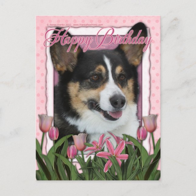 Carte Postale Joyeux anniversaire - Corgi (Devant)