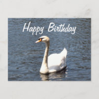 Joyeux Anniversaire cygne blanc