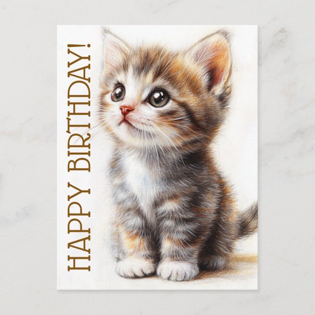 Carte Postale Joyeux Anniversaire, Dame aux Chats, Amoureuse des (Devant)