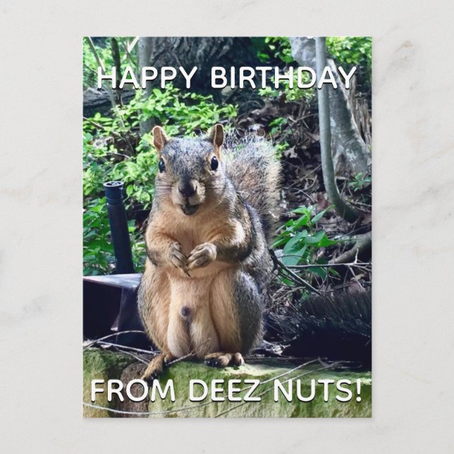 Carte Postale Joyeux Anniversaire de Deez Nuts Photo de Drôle d' (Devant)