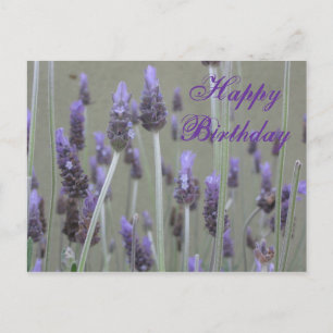Carte Postale Joyeux anniversaire de lavande