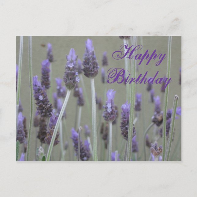 Carte Postale Joyeux anniversaire de lavande (Devant)