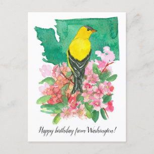 Carte Postale Joyeux anniversaire de Washington Chardonneret élé