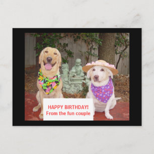 Carte Postale JOYEUX ANNIVERSAIRE ! Des couples d'amusement