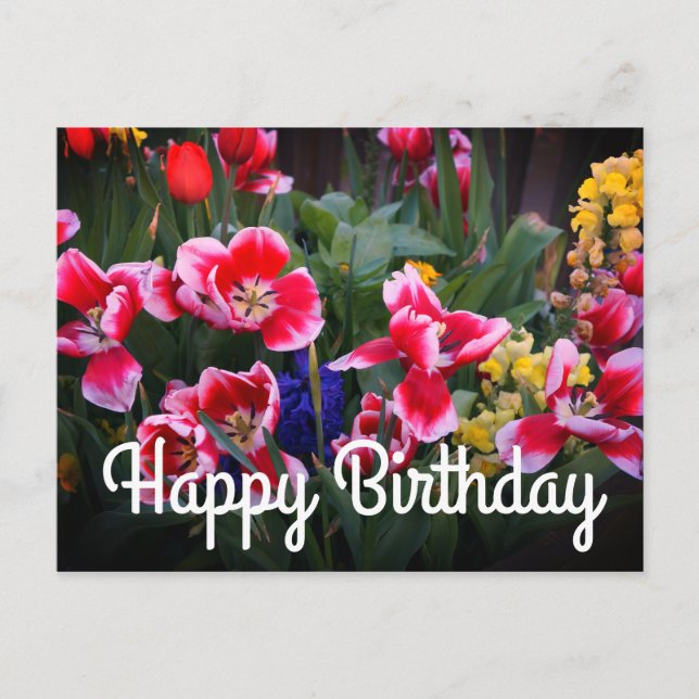 Carte postale Joyeux Anniversaire des Tulipes roug (Devant)