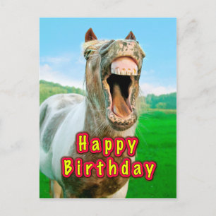 Carte Postale Joyeux anniversaire du cheval heureux