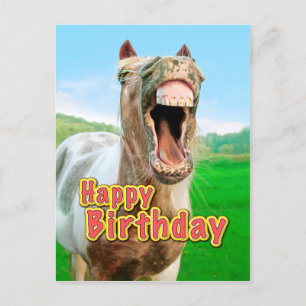 Carte Postale Joyeux anniversaire du cheval heureux
