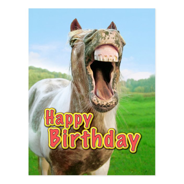 Carte Postale Joyeux anniversaire du cheval heureux Zazzle.ca