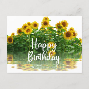 Carte Postale Joyeux Anniversaire Fleurs de soleil jaunes