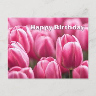 Carte Postale Joyeux Anniversaire Fleurs de Tulipes Roses