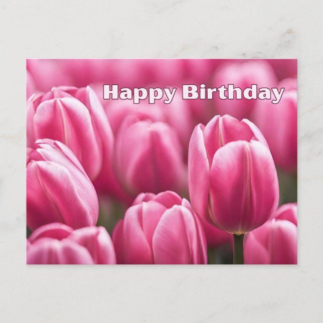 Carte Postale Joyeux Anniversaire Fleurs de Tulipes Roses (Devant)