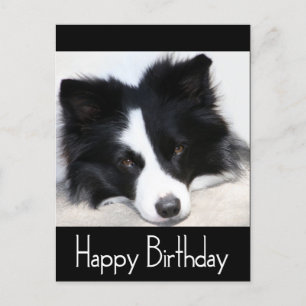 Carte Postale Joyeux anniversaire frontière Collie Chien Chien C