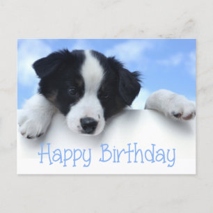 Carte Postale Joyeux Anniversaire Frontière Collie Chien Chien P