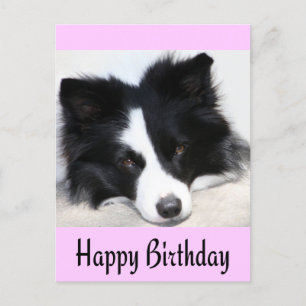 Carte Postale Joyeux Anniversaire Frontière Collie Chien Chien P