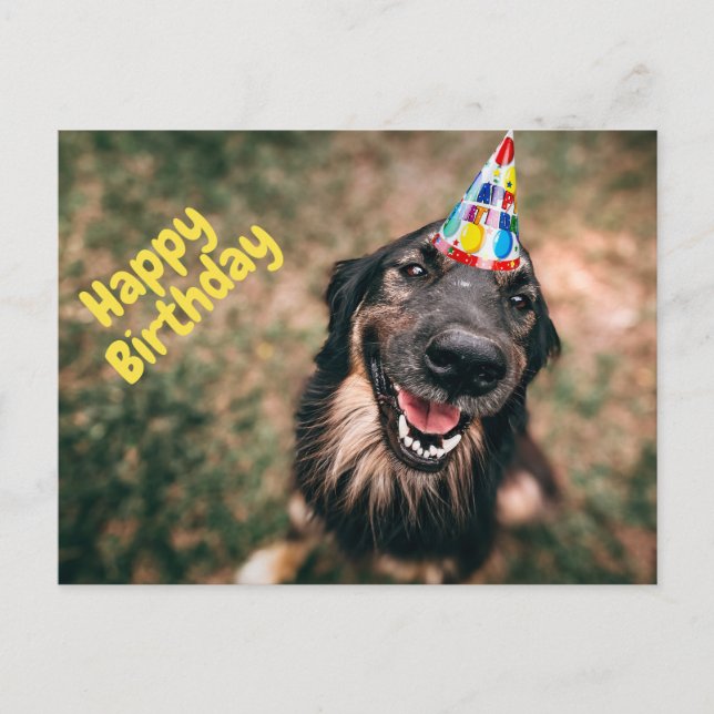 Carte Postale Joyeux anniversaire Funny Chien dans le Casquette  (Devant)