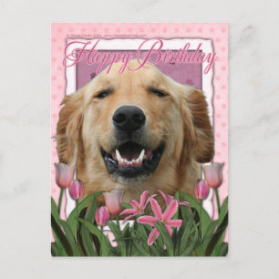 Carte Postale Joyeux anniversaire - Golden Retriever - Mickey