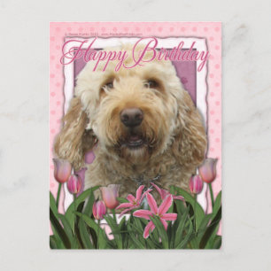 Carte Postale Joyeux anniversaire - Goldendoodle
