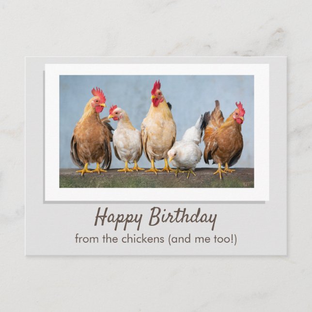Carte Postale Joyeux Anniversaire Gray Des Poulets (Devant)