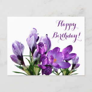 Carte Postale Joyeux anniversaire joli fleurs de crocus mauve fl