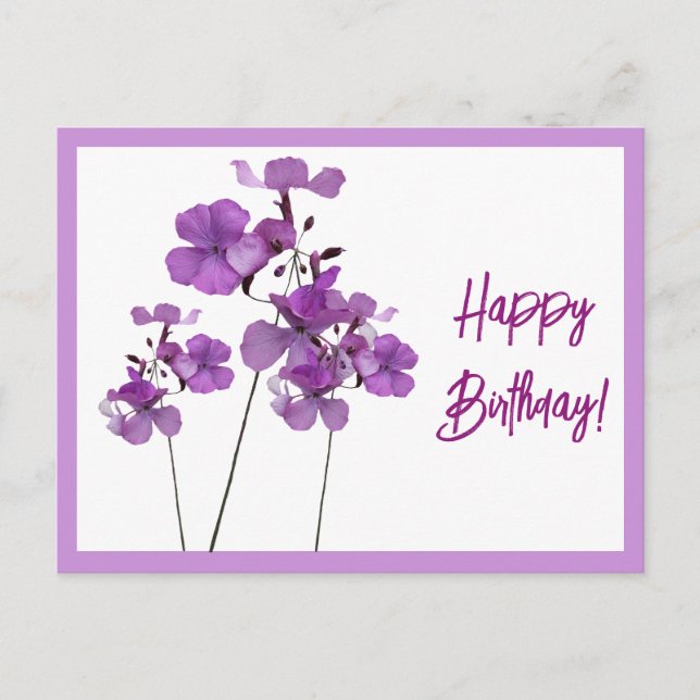 Carte Postale Joyeux anniversaire joli violet fleurs sauvages fl (Devant)