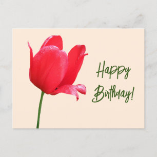 Carte Postale Joyeux anniversaire jolie tulipe rouge floral simp