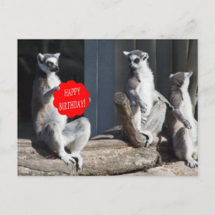 Carte Postale Joyeux anniversaire Katta
