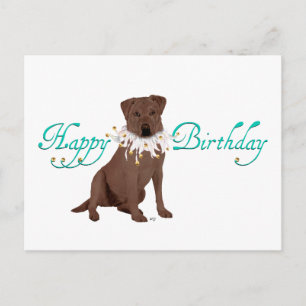 Carte Postale Joyeux anniversaire Labrador Retriever