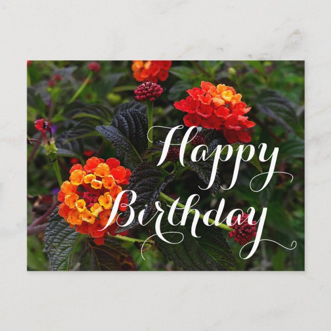 Carte Postale Joyeux Anniversaire Lantana à Fleurs Orange Rouge  (Devant)