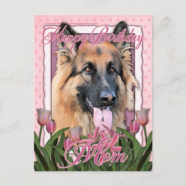 Carte Postale Joyeux Anniversaire Maman - Berger Allemand - Chan (Devant)