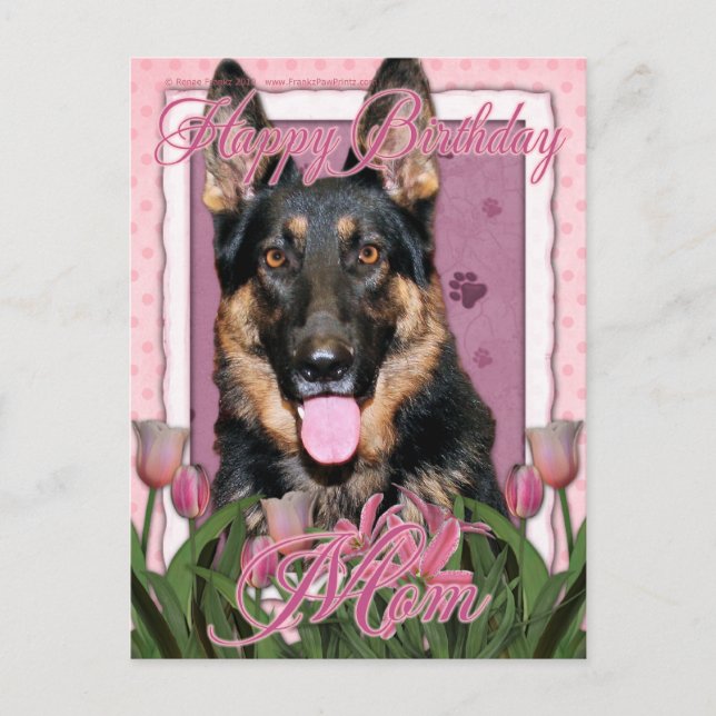 Carte Postale Joyeux Anniversaire Maman - Berger Allemand - Kuno (Devant)