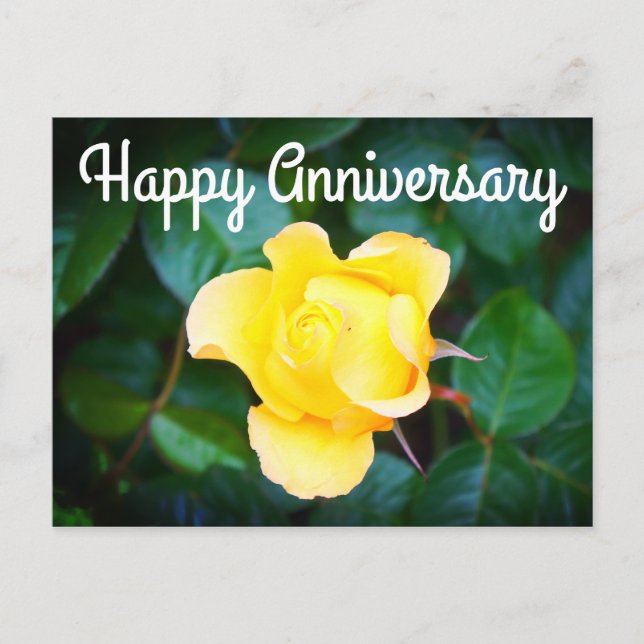 Carte Postale Joyeux anniversaire marche sur le Rose Sunshine #1 (Devant)