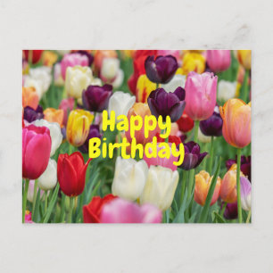Carte Postale Joyeux Anniversaire Mélange de couleurs Tulip Fleu