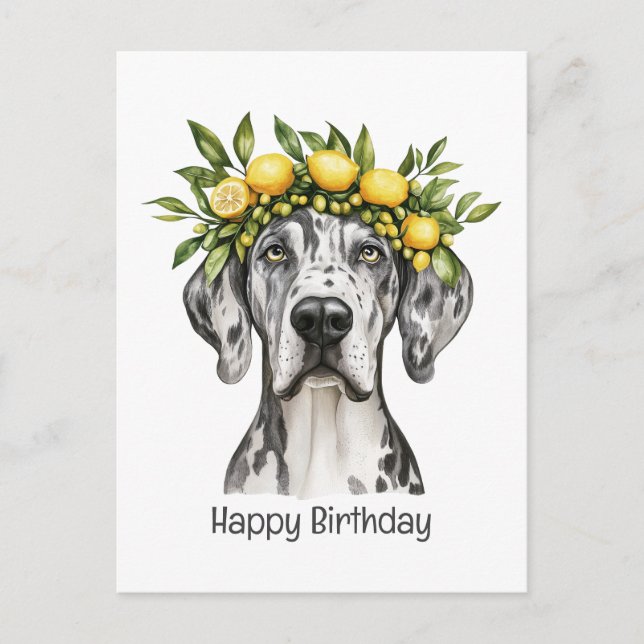 Carte Postale Joyeux Anniversaire Merle Grand Danois Chien Couro (Devant)