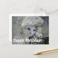 Joyeux anniversaire mignon chat se cachant