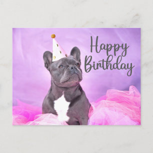 Carte Postale Joyeux Anniversaire mignon Funny French Bulldog
