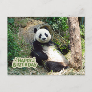 Carte Postale Joyeux Anniversaire Ours Panda Géant 