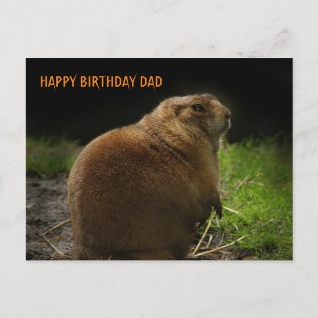 Carte Postale JOYEUX ANNIVERSAIRE PÈRE Woodchuck Photo de la mar (Devant)