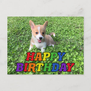 Carte Postale Joyeux Anniversaire Photo de Chiot Corgi Mignon