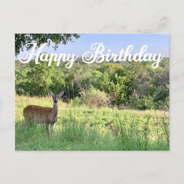 Carte Postale Joyeux Anniversaire Photographie de Cerf Belle Nat (Devant)