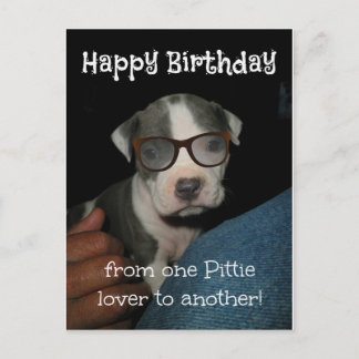 Carte Postale Joyeux anniversaire Pittie