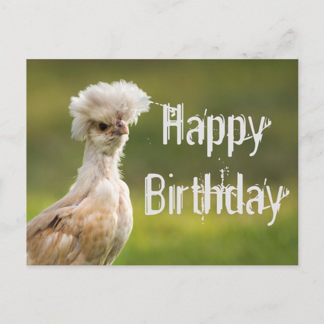Carte Postale Joyeux Anniversaire Poulet Polonais (Devant)
