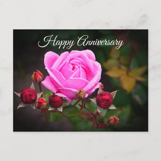 Carte Postale Joyeux anniversaire Rose du château évêque #1 Cart (Devant)