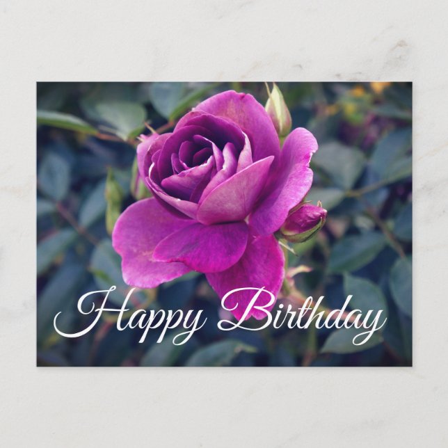 Carte postale Joyeux Anniversaire Rose Iceberg Bou (Devant)