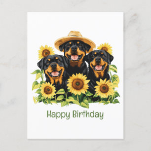Carte Postale Joyeux Anniversaire Rottweiler Chiens Sunflowers
