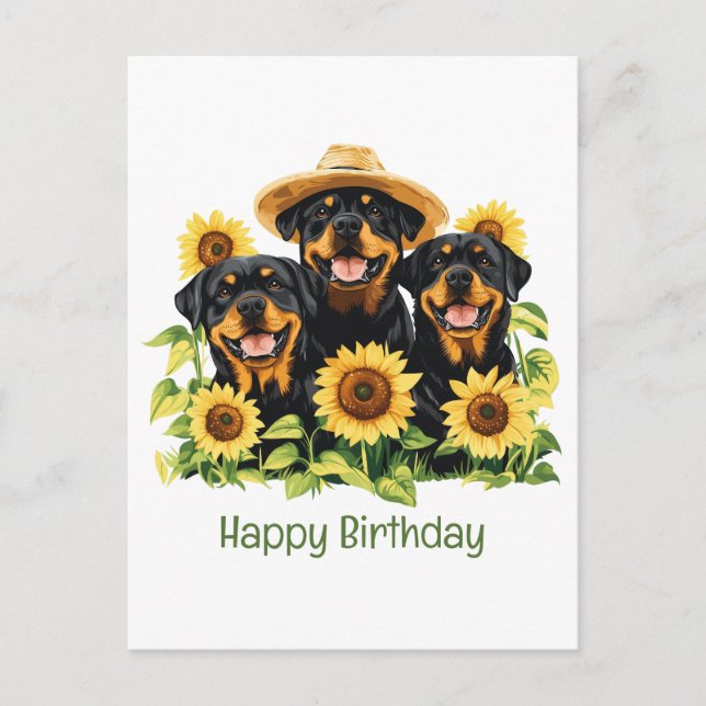 Carte Postale Joyeux Anniversaire Rottweiler Chiens Sunflowers (Devant)