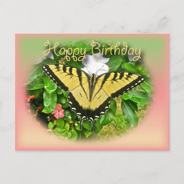 Carte Postale Joyeux anniversaire Salutation Tiger Swallowtail B (Devant)