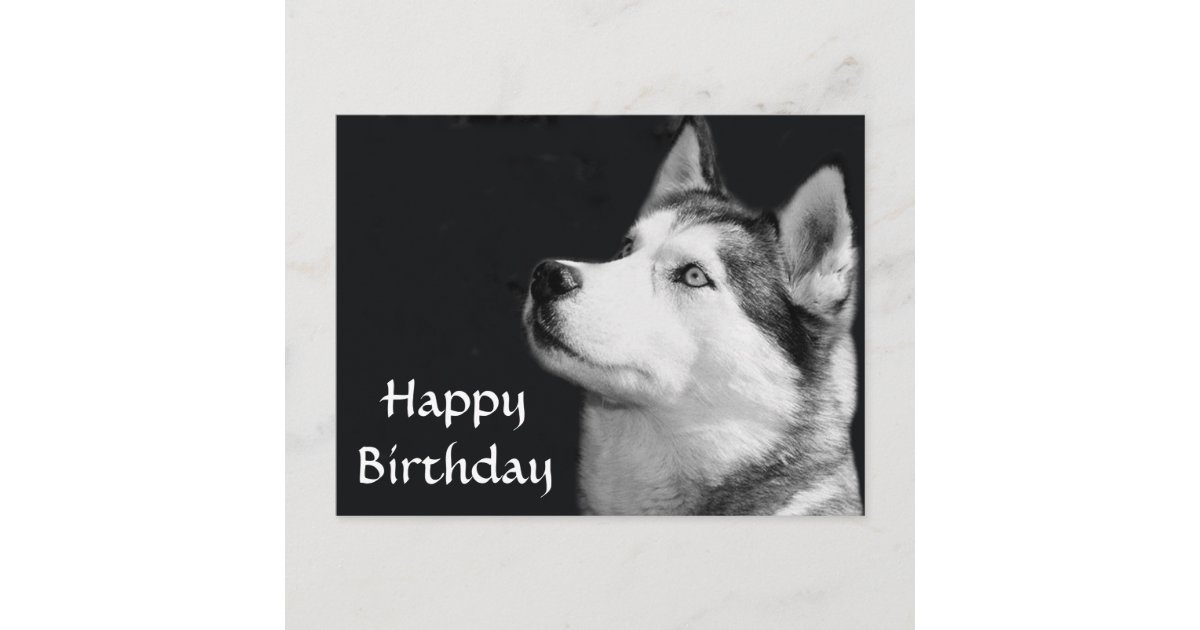 Carte Postale Joyeux Anniversaire Siberie Husky Chien Chien Pot Zazzle Ca