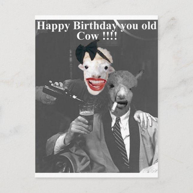 Carte Postale Joyeux anniversaire, vieux vache ! (Devant)